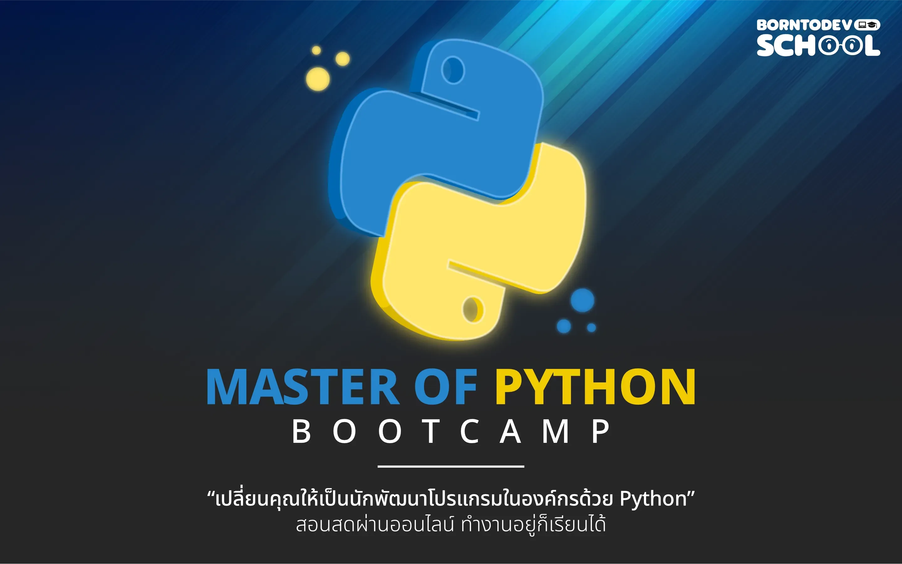 Master of Python Bootcamp